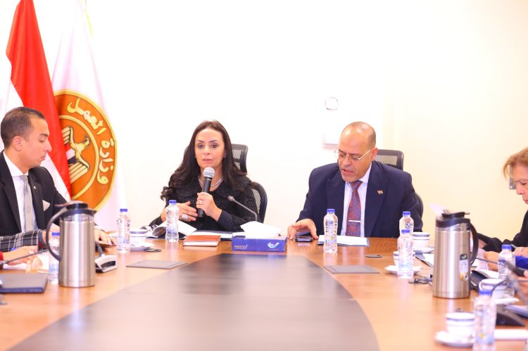 وزيرا التضامن والعمل يرأسان اللجنة التشريعية لاعداد مشروع قانون العمالة المنزلية