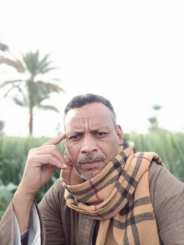 مليش غنوه  ...شعر نصر هاشم