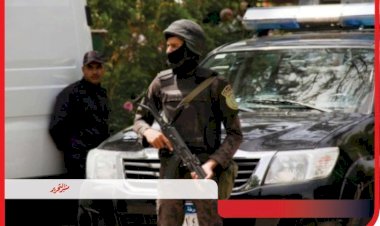 غسيـل 115 مليون جنيه من تجارة المخدرات