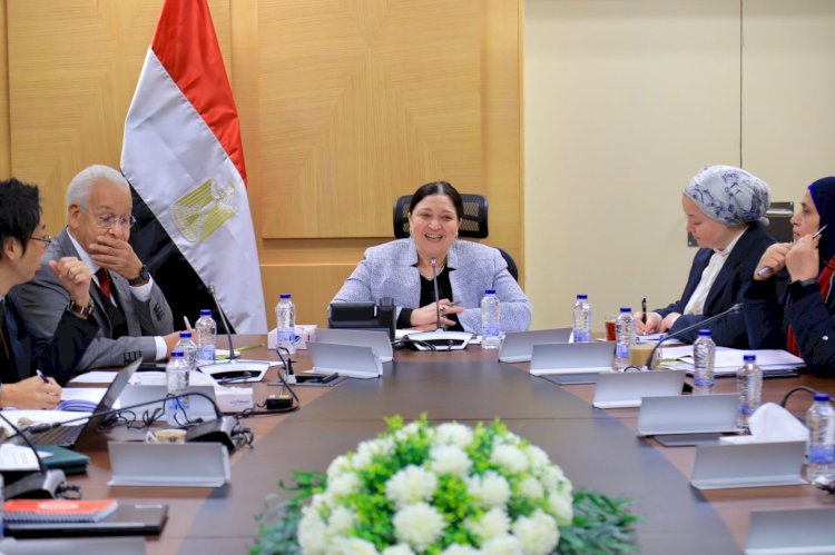 التضامن الاجتماعي والوكالة الألمانية للتعاون الدولى  تنفذان ورشة عمل