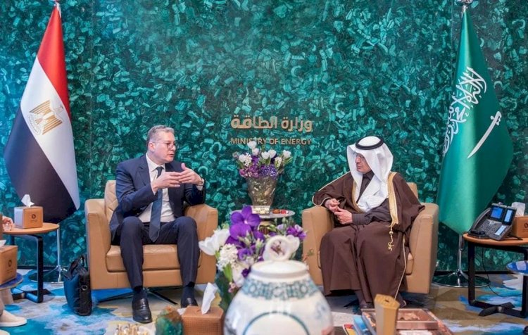 وزير البترول يبحث مع وزير الطاقة السعودي التعاون في مجال الطاقة