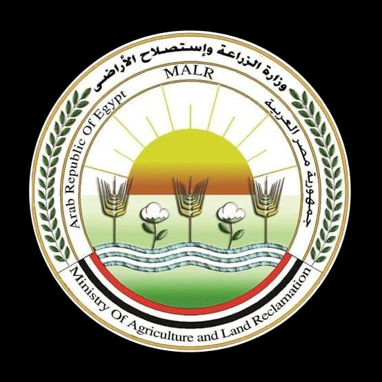 الزراعه تفتح باب استيراد الكتاكيت كمدخلات إنتاج