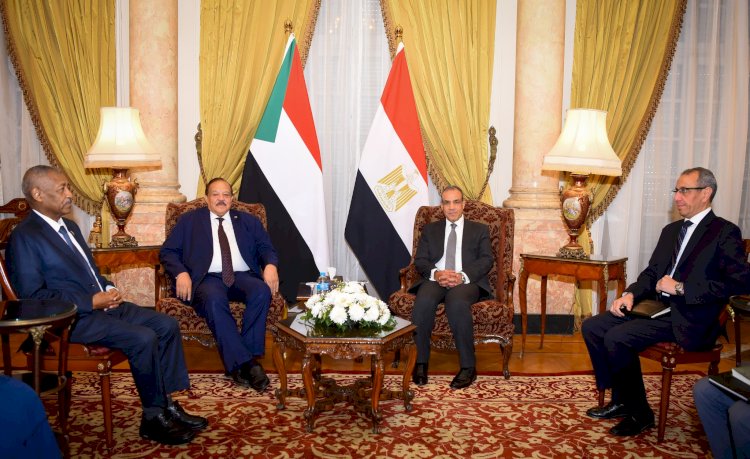 وزير الخارجية ونظيره السوداني يبحثان القضايا المشتركة وملف المياه