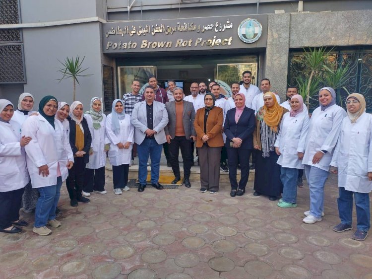 الزراعة تعلن ٦١٧ ألف فدان خالية من العفن البني في البطاطس