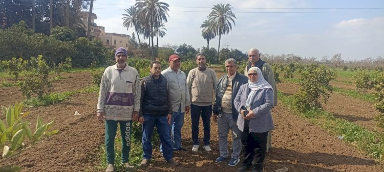 الزراعة  تتفقد زراعات البساتين والصوب الزراعية والمشاتل بالغربية