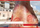 تحرير 24 محضرًا وضبط 90 كيلو لحوم فاسدة خلال حملات رقابية بقنا وفرشوط