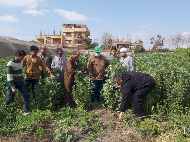 حصاد أنشطة مبادرة تفعيل المراكز الإرشادية خلال فبراير 2025