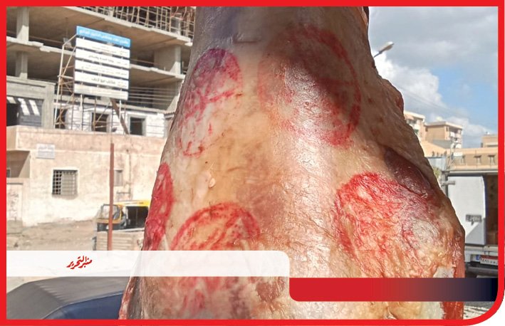 تحرير 24 محضرًا وضبط 90 كيلو لحوم فاسدة خلال حملات رقابية بقنا وفرشوط