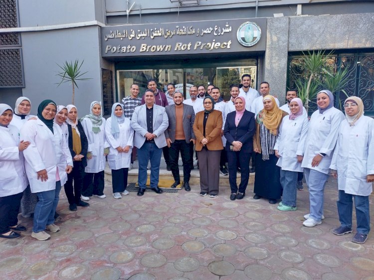 فحص أكثر من مليون طن من بطاطس المائدة للتصدير  ابريل الماضي
