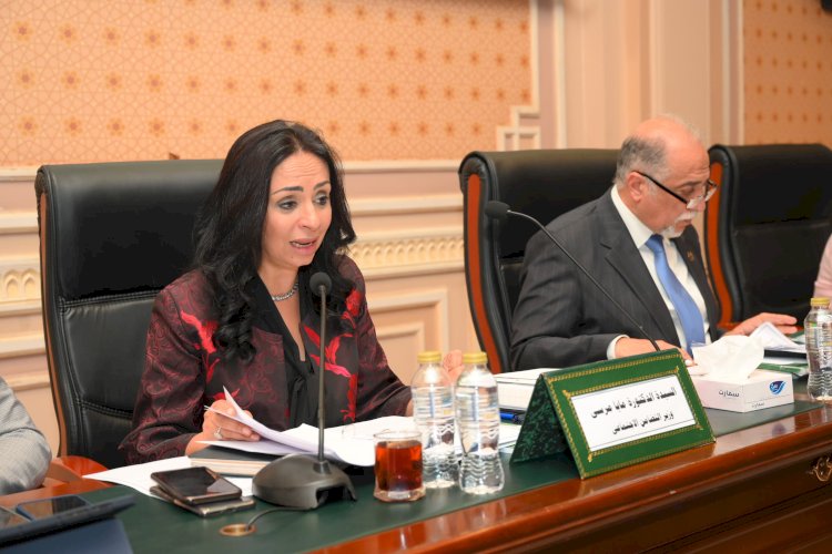 وزيرة التضامن ما تنفذه مصر في الحماية الاجتماعية  من أنجح البرامج في المنطقة