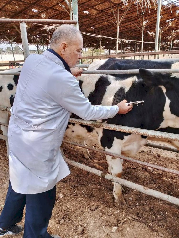 الزراعة تكثف جهود رصد الأمراض الوبائية الحيوانية