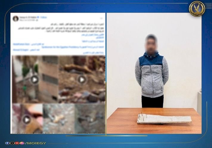 ضبط راعي أغنام تعدى على الكلاب الضالة بعصا خشبية بالبحيرة