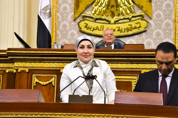 النائبة هالة أبو السعد: تطور المنظومة الصحية في مصر تجاوز الـ 200%
