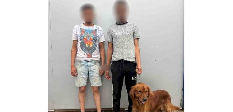 كشف ملابسات واقعة قيام شخصين بإحتجاز أحد الأشخاص وتهديده بإستخدام كلب بالقاهرة