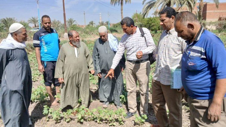 الزراعة تنفذ أكثر من 2000 نشاط إرشادي متنوع لدعم أكثر من 51 ألف مزارع
