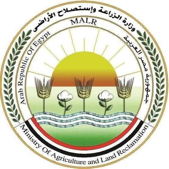 الزراعة: المجازر الحكومية تستقبل 7900 أضحية في اليوم الثالث للعيد