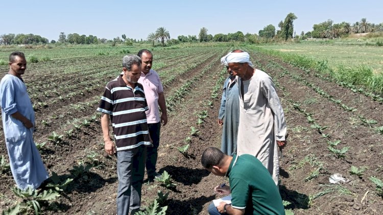 "الزراعة" تتفقد الأنشطة البحثية والإرشادية بقرى الأقصر