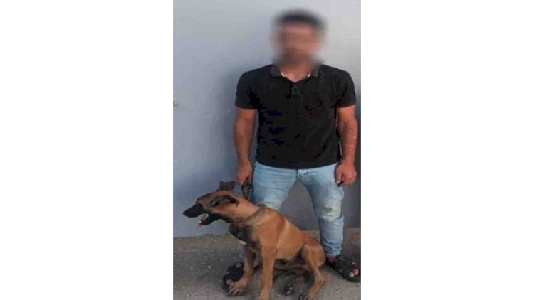 حقيقة فيديو قيام مواطن بدفع كلب تجاه شخص آخر بالدقهلية