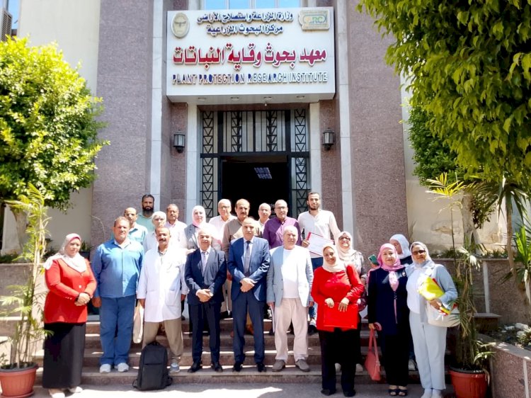"وقاية النباتات" ينفّذ برنامجًا تدريبيًا متخصصًا للنهوض بجودة التمور بتطبيق الإدارة الذكية لآفات نخيل البلح