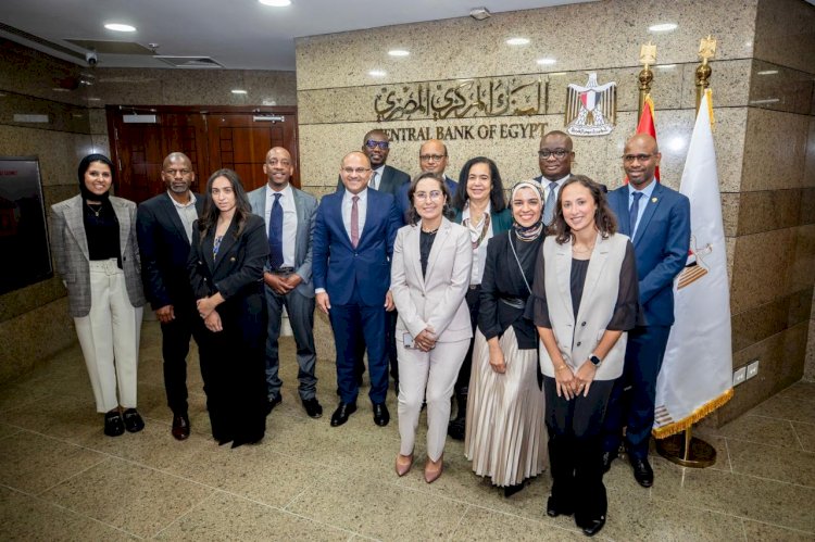 المركزي المصري يستضيف الاجتماع الأول لمجموعة عمل تقرير الاستقرار المالي الإفريقي