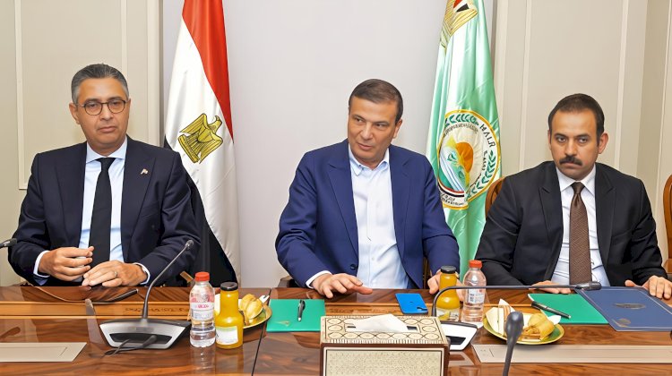"الوزراء" يبحثون مع اتحاد الدواجن تحفيز الإنتاج المحلي لخفض الاستيراد من الخارج