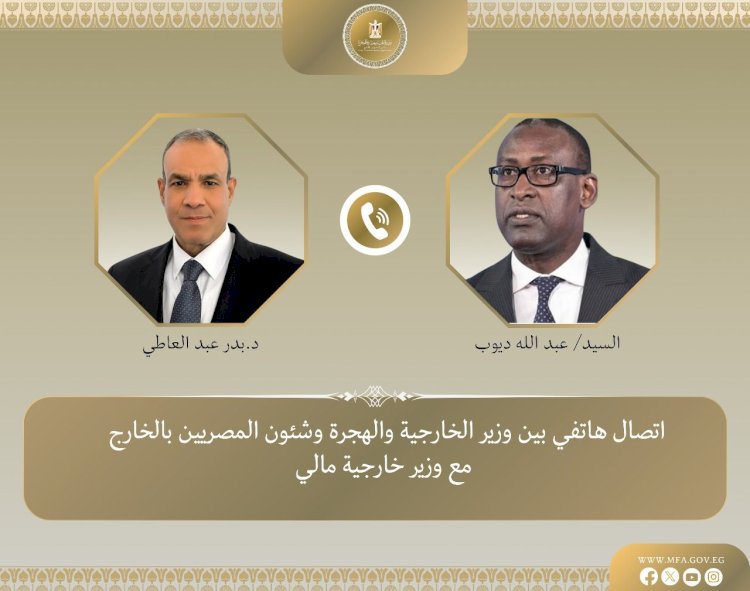 اتصال هاتفي بين وزير الخارجية ونظيره المالي