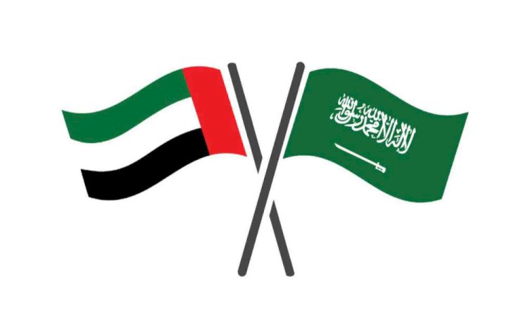 أول رد من الإمارات على الاتهامات السعودية لها في اليمن