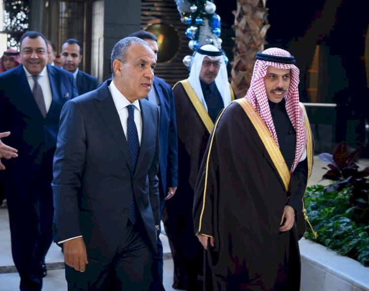 وزير الخارجية يعقد مباحثات ثنائية مع نظيره السعودي