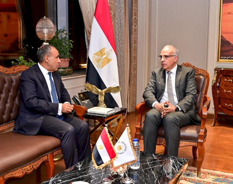 وزيرا الخارجية والري يبحثان مجالات التعاون مع دول حوض النيل