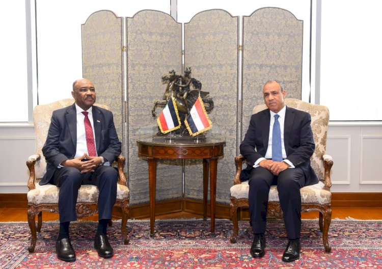 مصر تؤكد تمسكها بوحدة السودان وسلامة أراضيه