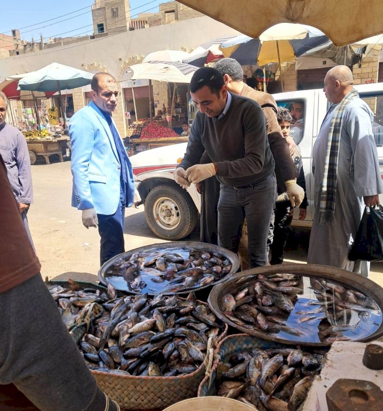 محافظ سوهاج ضبط 860 كيلو لحوم وأسماك غير صالحة في حملات مكبرة للطب البيطري