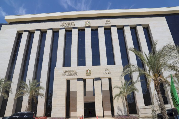 2554 فرصة عمل في 66 شركة خاصة.. والتقديم طوال مايو الجاري