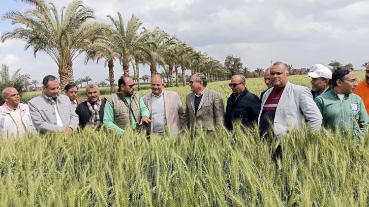 رئيس "البحوث الزراعية" يتفقد محطة بحوث الجميزة لمتابعة تطوير العمل