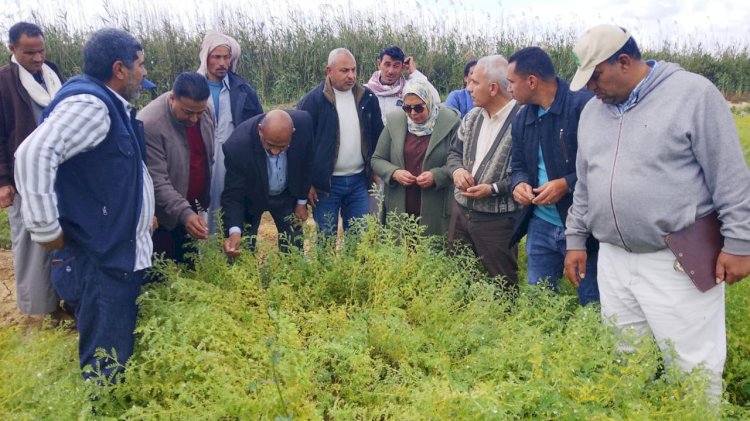 "الزراعة" تنشر تقريرا بجهود وانشطة معاهد ومعامل "البحوث الزراعية" الأسبوع الرابع من مارس