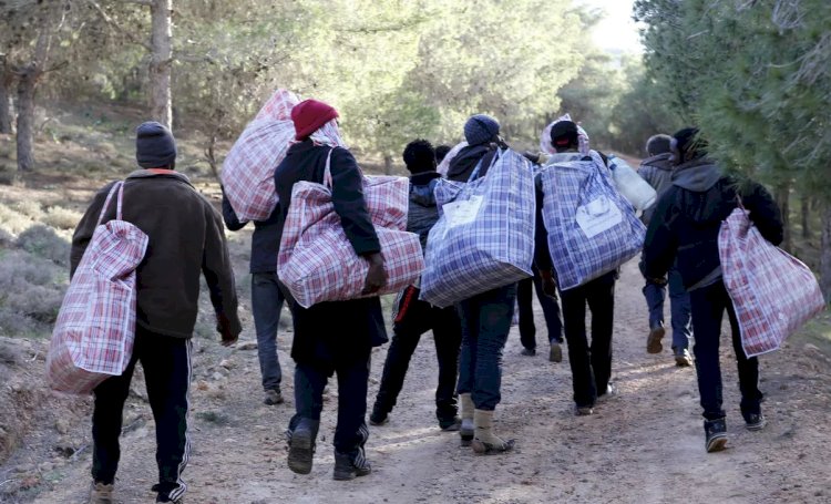 3 دول متقدمة تمتنع عن التصويت بالأمم المتحدة بشأن الرق والعبودية للأفارقة