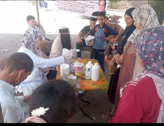 محافظ كفرالشيخ يتابع جهود تحصين 165 ألف طائر متنوع