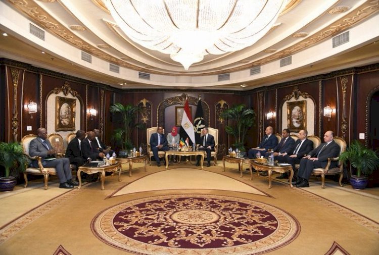 وزيرا الداخلية المصري والمالي يناقشات المستجدات في المجالات الامنية المختلفة