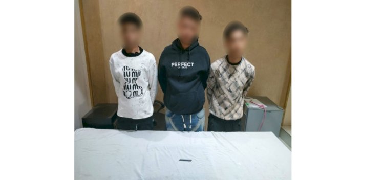 فيديو التواصل الاجتماعي وراء ضبط المتهمين بمضايقة الفتيات بالجيزة والتحفظ علي التوك توك