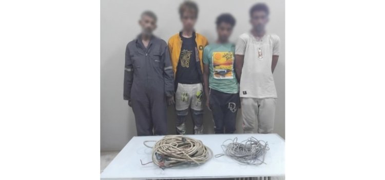 فيديو يقود الداخلية للقبض علي المتهمين بسرقة أسلاك الكهرباء بالسويس