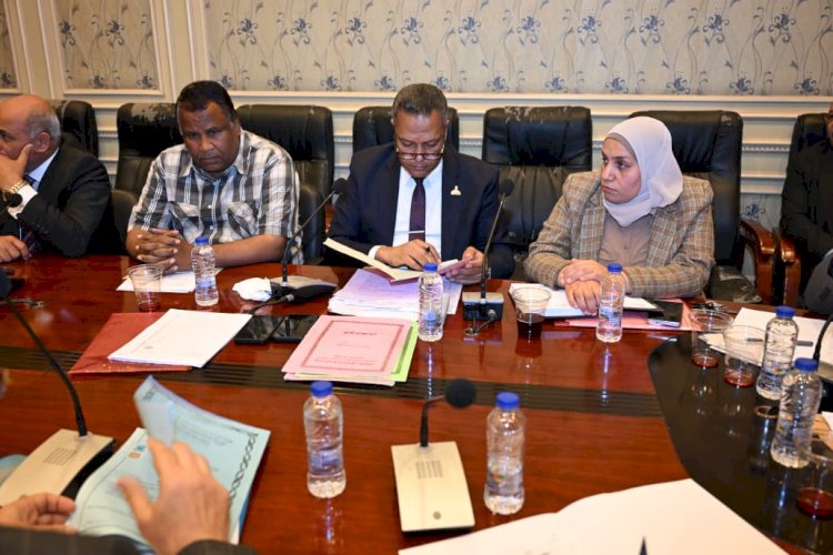 محمد حمزة: الدولة تتحرك لحل أزمة أراضي أبيس والنهضة بالإسكندرية من جذورها