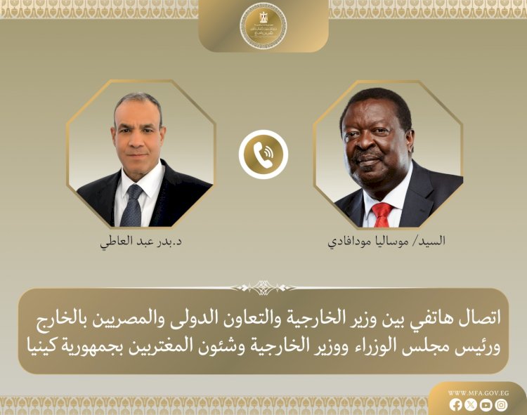 وزير الخارجية ونظيره الكيني يبحثان العلاقات الثنائية والقضايا الإقليمية
