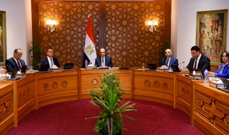 وزراء خارجية مصر وتونس والجزائر يعقدون اجتماعا ثلاثيا بالقاهرة ويصدرون بيانا مشتركا