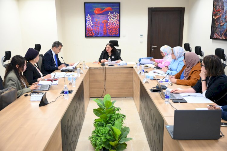 صاروفيم تبحث تعزيز التعاون في ملف تنمية الطفولة المبكرة مع ممثل جايكا