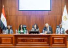 المركزي المصري وغرفة مقاصة الكوميسا ينظمان ورشة استخدام النظام الإقليمي للمدفوعات والتسويات