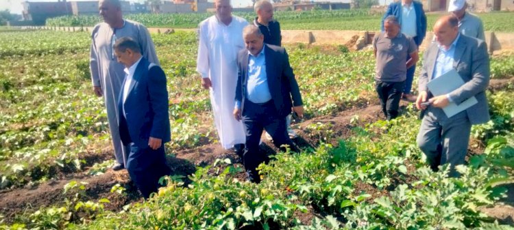 رئيس الإصلاح الزراعي يتابع منظومة العمل والزراعات الصيفية بمحافظة كفر الشيخ
