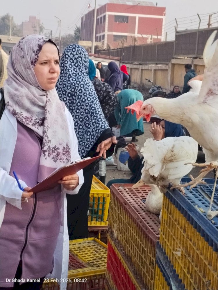 "الزراعة" تكثف الإنذار المبكر لحماية الثروة الحيوانية والداجنة