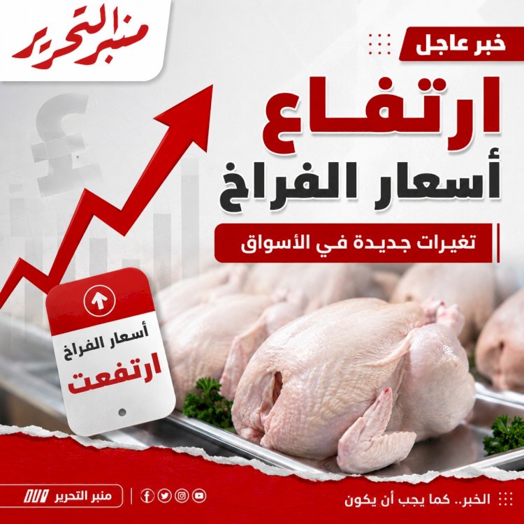 ارتفاع أسعار الفراخ اليوم الأثنين 5 أكتوبر 2026