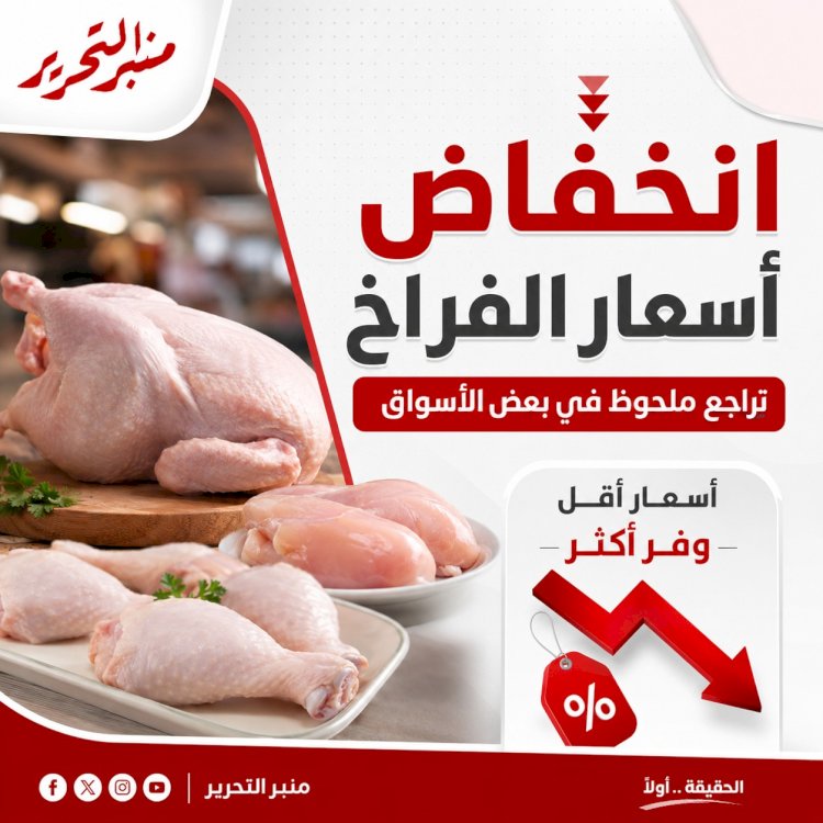 انخفاض أسعار الفراخ اليوم الأثنين 28 سبتمبر 2026