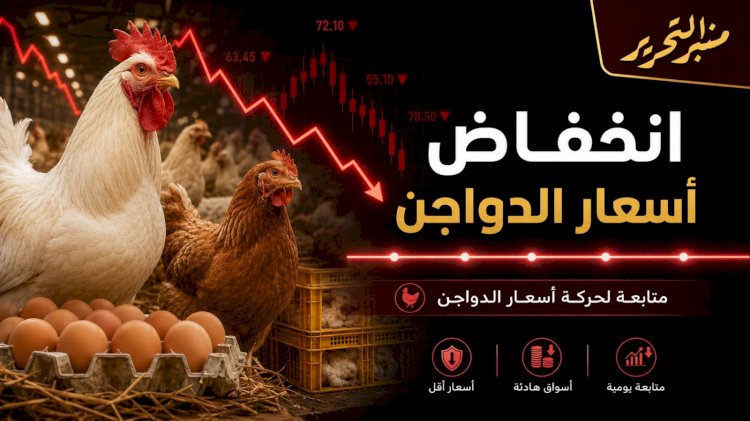 انخفاض أسعار الفراخ الثلاثاء 21 يوليو  2026