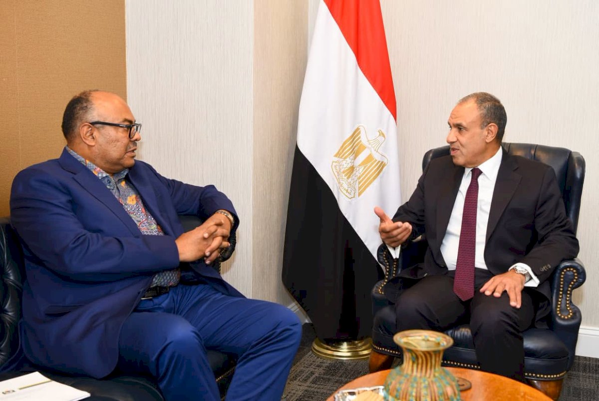 وزير الخارجية ونظيره التنزاني يبحثان تنسيق المواقف إزاء القضايا الإقليمية